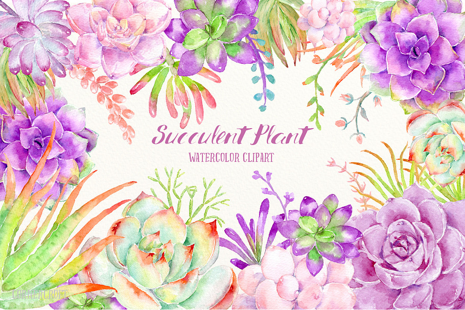 Watercolor Clip Art Succulent Plant in Illustrations - product preview 8