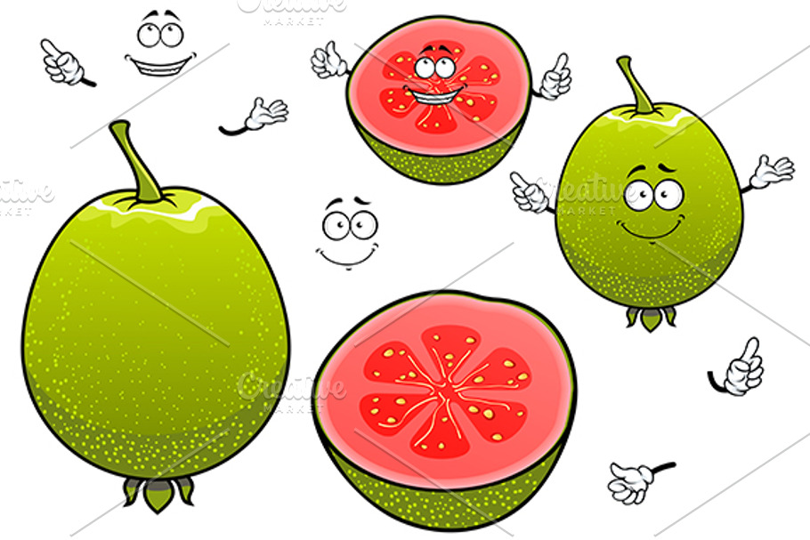 Mexican green guava fruit in Graphics - product preview 8