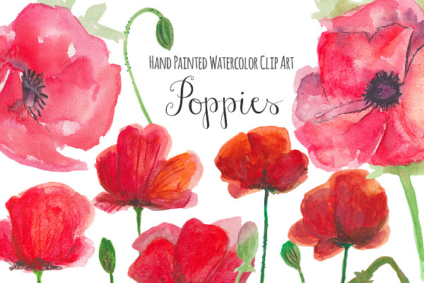 Poppies watercolor clip art