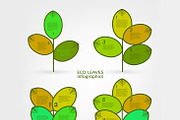 Leaves Infographic Elements