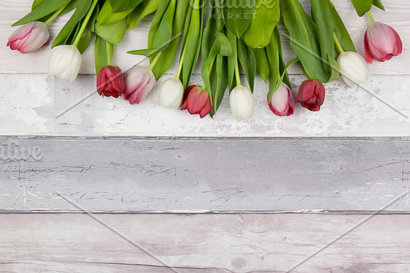 Spring Floral Tulip Wood Background in Scene Creator Mockups - product preview 1