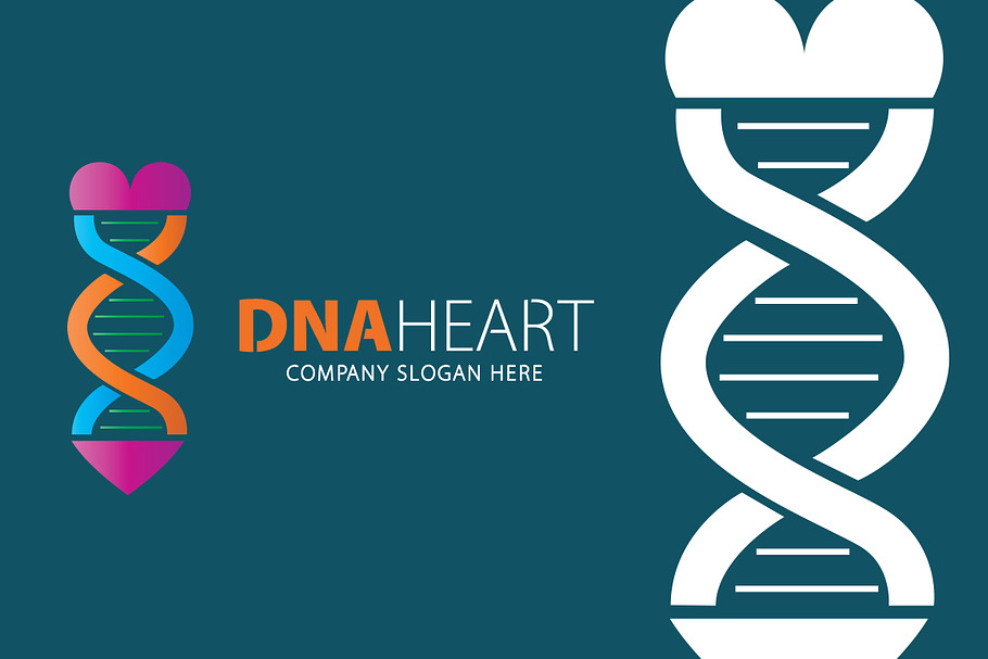 Dna Heart Logo in Logo Templates - product preview 8