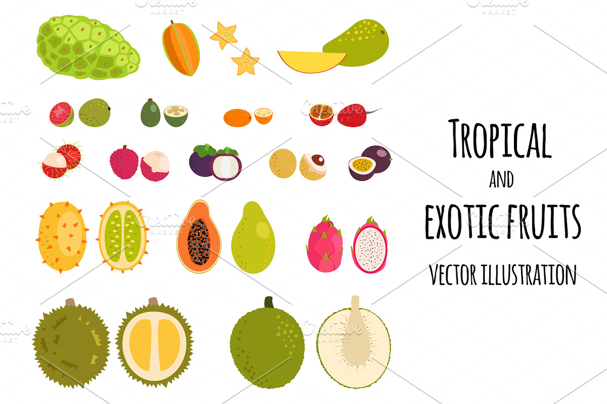 Set of tropical exotic fruits in Illustrations - product preview 8