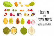 Set of tropical exotic fruits