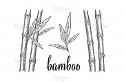 Bamboo trees with leaf 