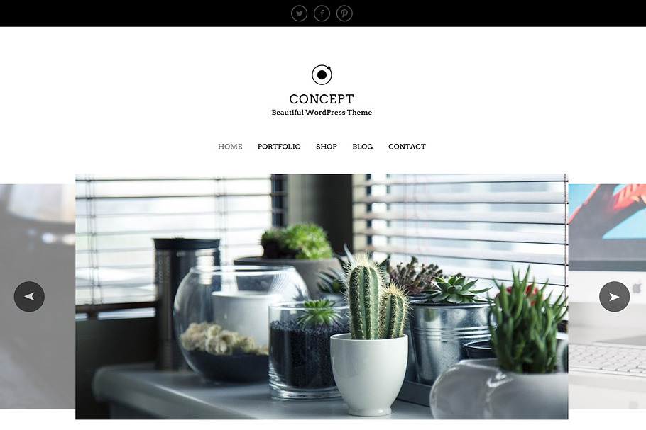 Concept - eCommerce Portfolio WP in WordPress Minimal Themes - product preview 8