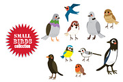 Small Birds Collection Set
