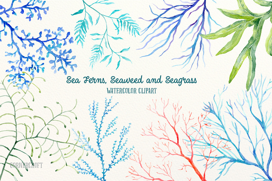 Watercolor sea ferns and seaweed in Illustrations - product preview 8