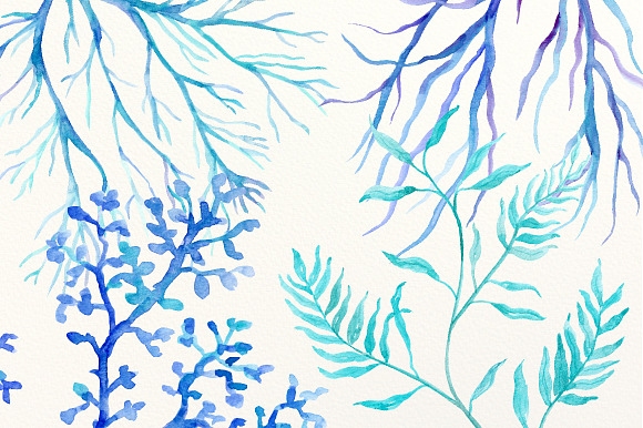 Watercolor sea ferns and seaweed in Illustrations - product preview 2