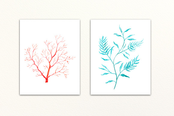 Watercolor sea ferns and seaweed in Illustrations - product preview 3