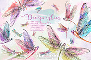 Watercolor Dragonflies Clipart