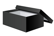 Black Box for shoes