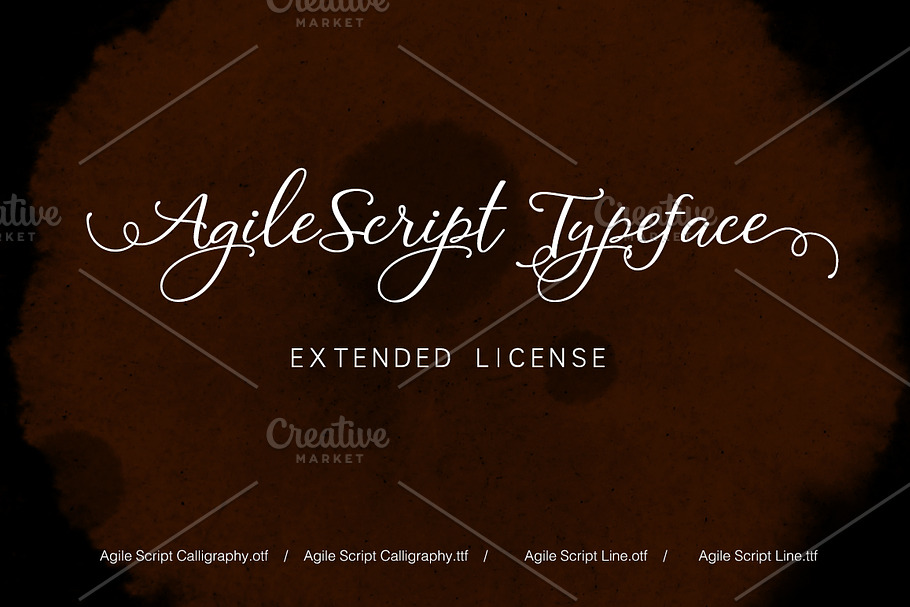 Agile Script Extended License in Script Fonts - product preview 8
