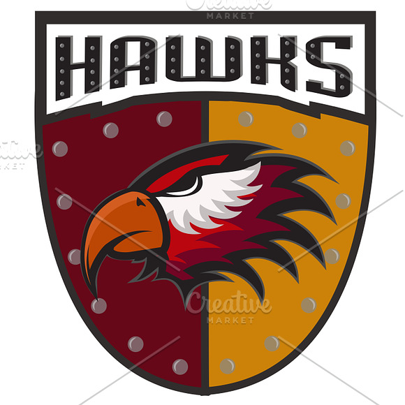 Professional sports logo hawks in Logo Templates - product preview 1