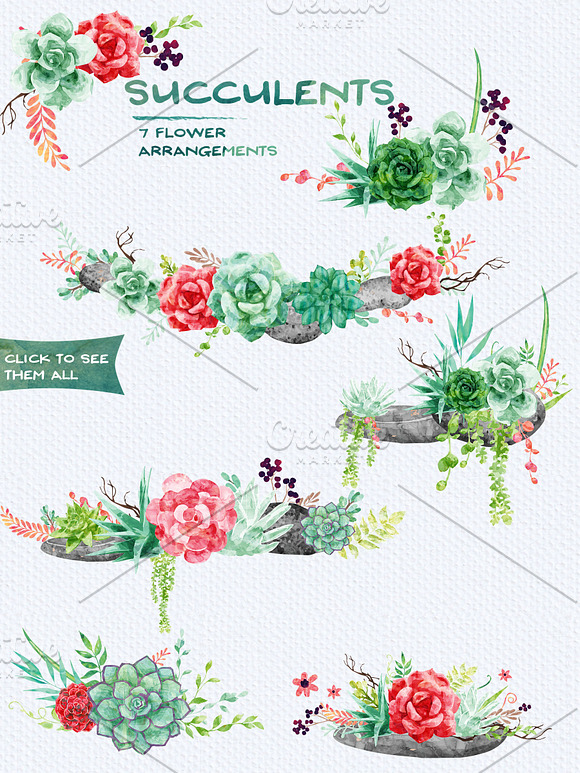 Succulents- patterns & illustrations in Illustrations - product preview 1
