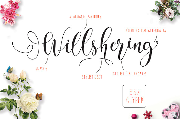 Willshering Script in Script Fonts - product preview 8