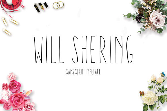 Willshering Script in Script Fonts - product preview 13