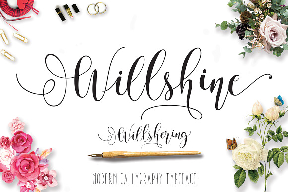 Willshering Script in Script Fonts - product preview 14