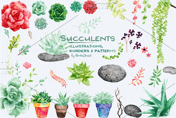 Succulents- patterns & illustrations in Illustrations - product preview 4