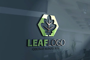 Leaf Logo/3