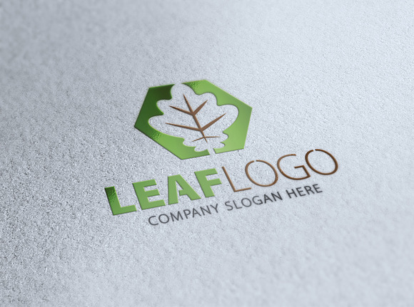 Leaf Logo/3 in Logo Templates - product preview 1