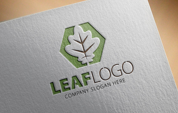 Leaf Logo/3 in Logo Templates - product preview 2