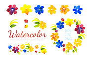 Watercolor Flowers Set. EPS,JPG,PNG