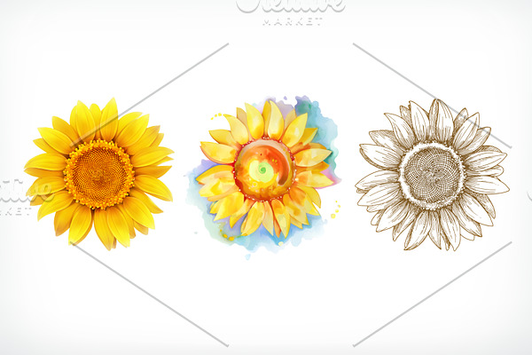 Sunflower, different styles