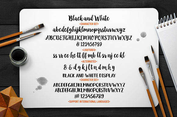 Black & White Font Duo in Script Fonts - product preview 9
