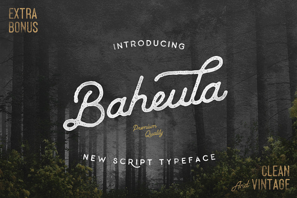 Baheula Vintage + Clean Typeface in Stamp Fonts - product preview 6
