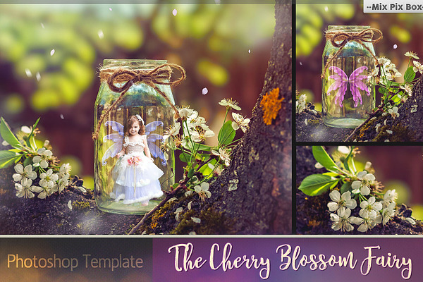 The Cherry Blossom Fairy