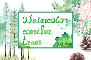 Watercolor pines, branches, cones