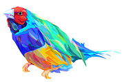 Bird (vector illustration)