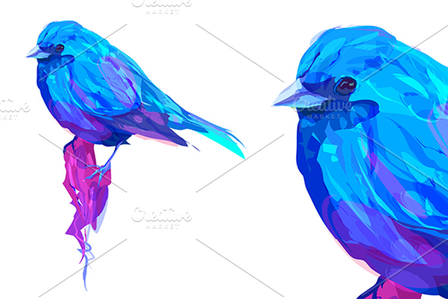 Exotic Bird (Vector) in Illustrations - product preview 8