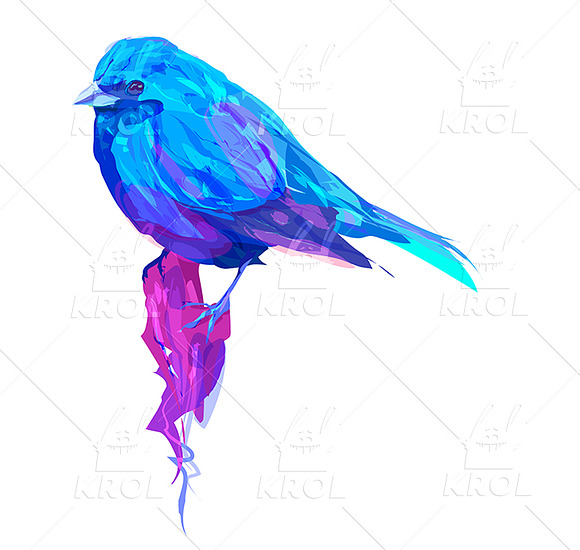 Exotic Bird (Vector) in Illustrations - product preview 1