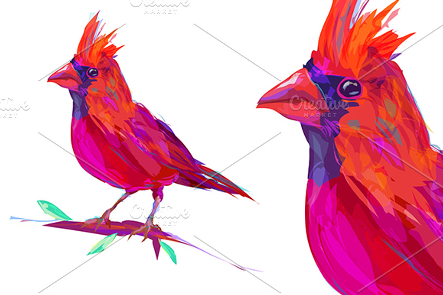 Red Cardinal (Birds set. Vector) in Illustrations - product preview 8