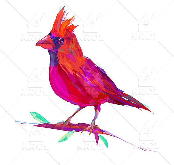 Red Cardinal (Birds set. Vector) in Illustrations - product preview 1