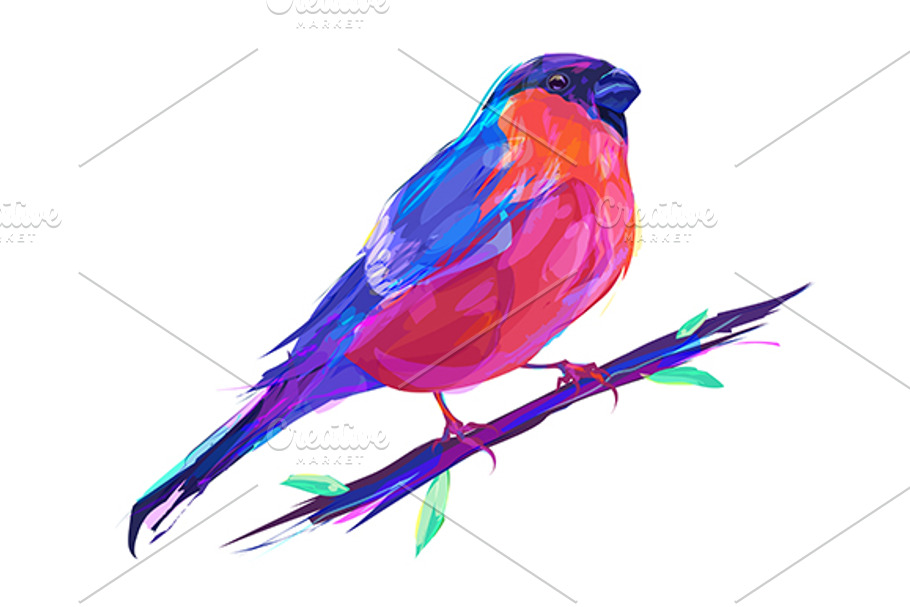 Bullfinch (Birds set. Vector) in Illustrations - product preview 8