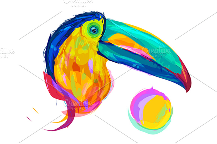 Toucan  (Birds set. Vector) in Illustrations - product preview 8