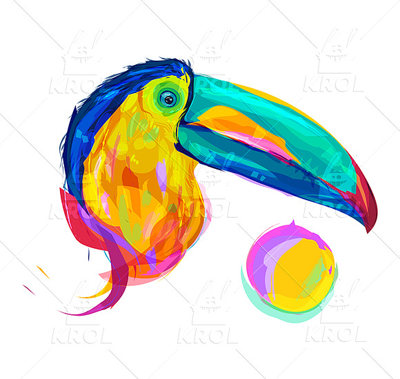 Toucan  (Birds set. Vector) in Illustrations - product preview 1