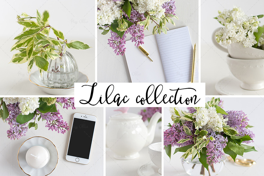 Lilac styled stock photography