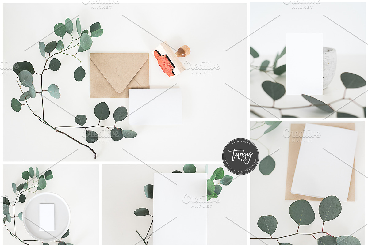 Stock Photos | Eucalyptus Bundle #2 in Product Mockups - product preview 8