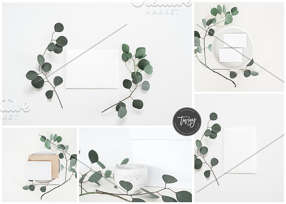 Stock Photos | Eucalyptus Bundle #2 in Product Mockups - product preview 1