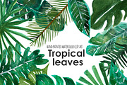 Palm leaf tropical clip art