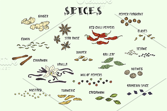 Spices. Doodle set in Illustrations - product preview 1