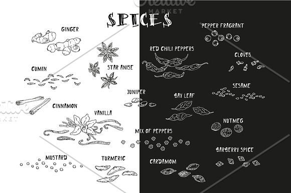 Spices. Doodle set in Illustrations - product preview 2