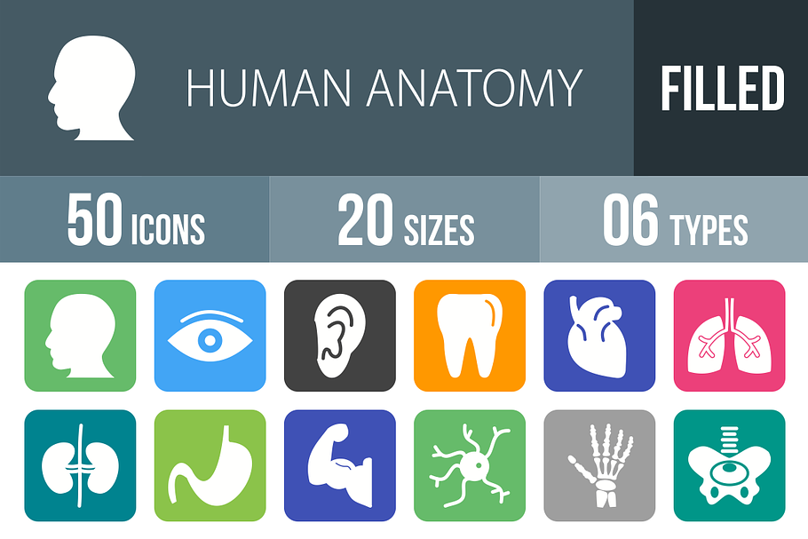 50 Human Anatomy Filled Icons
