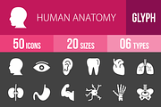 50 Human Anatomy Glyph Inverted Icon