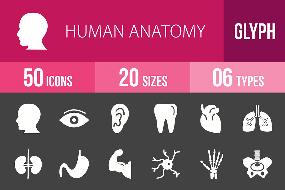 50 Human Anatomy Glyph Inverted Icon