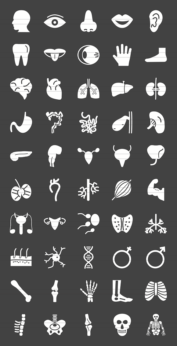 50 Human Anatomy Glyph Inverted Icon in Graphics - product preview 1